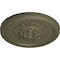 Ekena Millwork Palmetto Ceiling Medallion, Hand-Painted Painted Turtle, 11 1/2"OD x 1"P CM11PAPTF - alternate 4